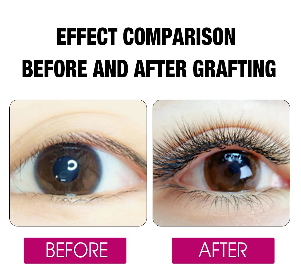 FADVAN 8D W Double Layers 4D W - Eyelash Extension Double Volume 评论和价格